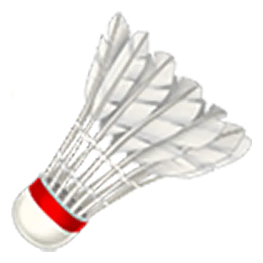 Badminton